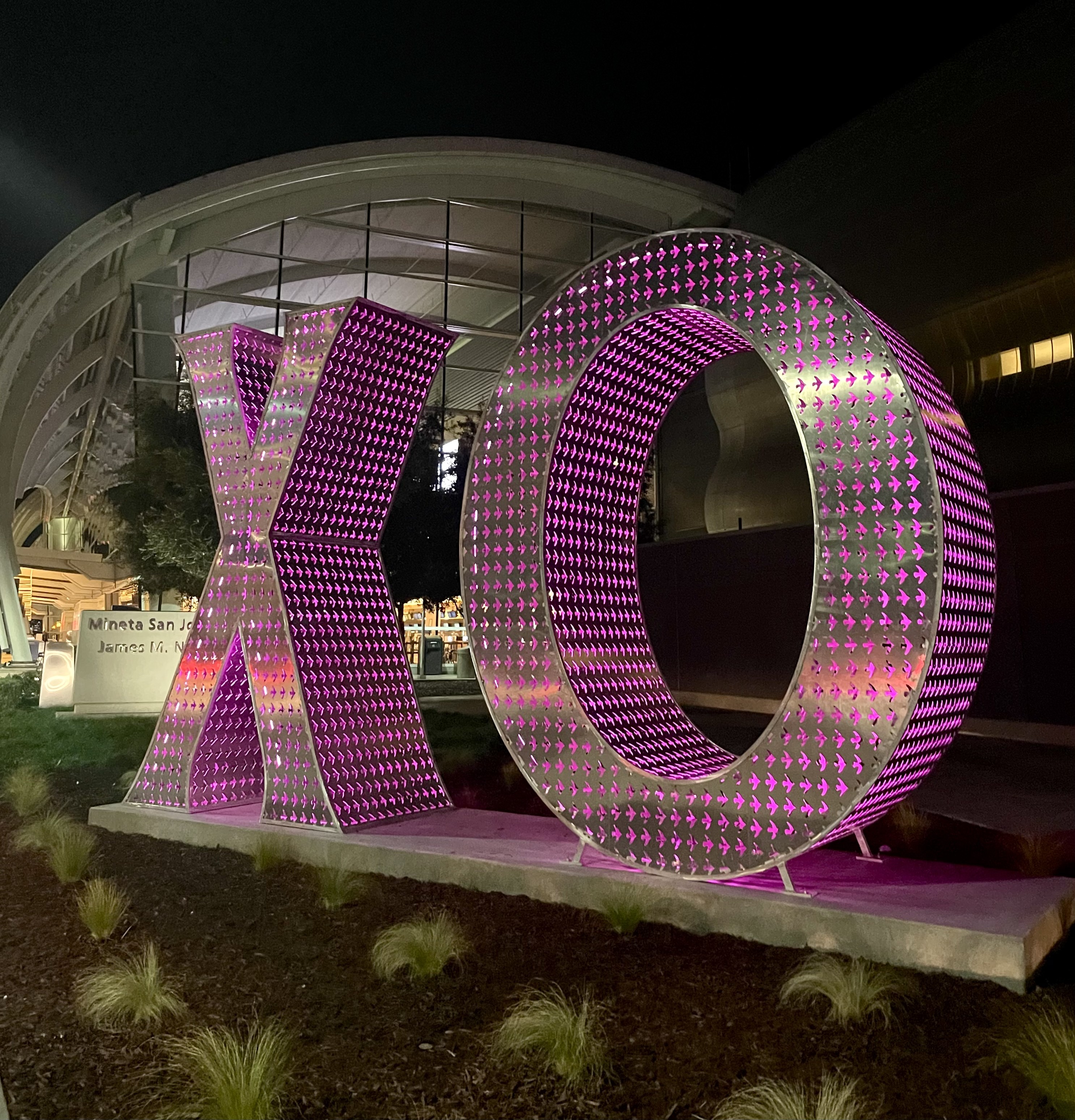 XO at night (purple)cropped