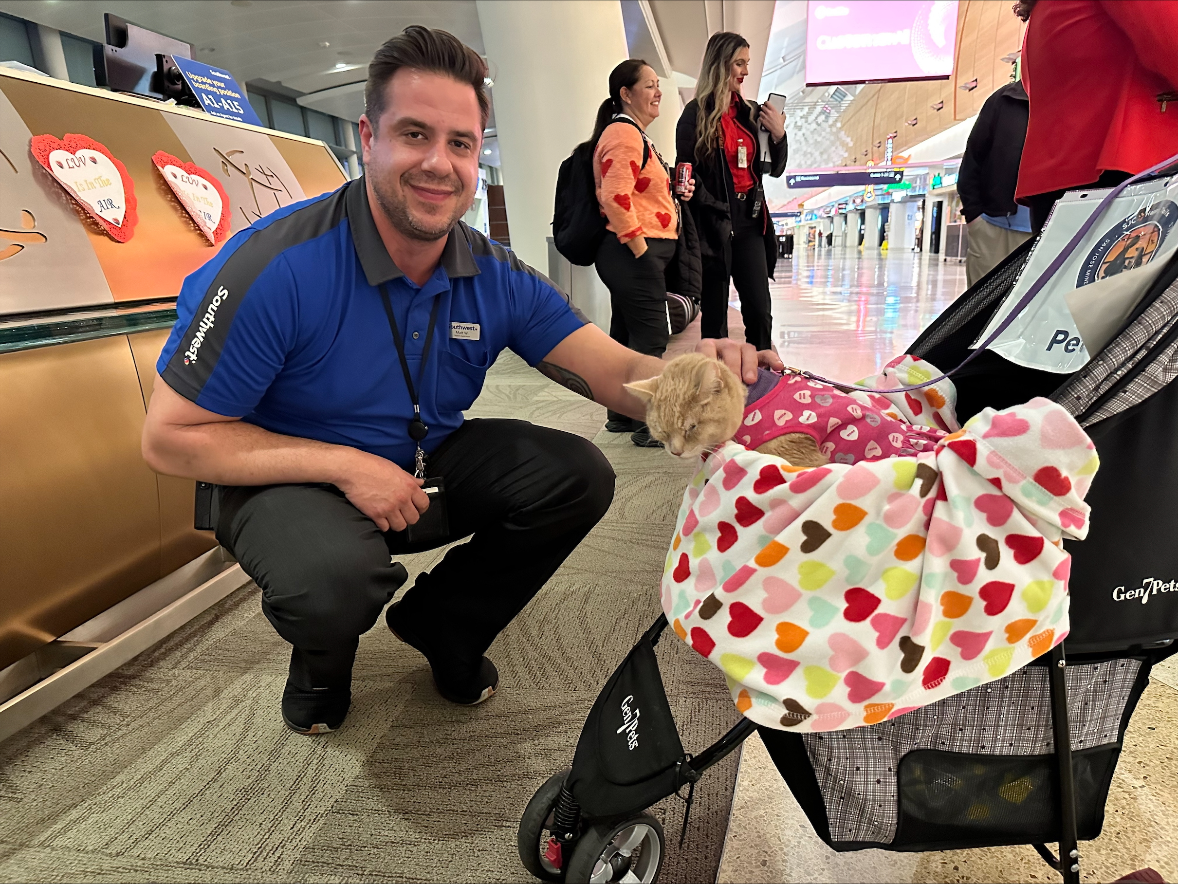 Therapy animal at SJC