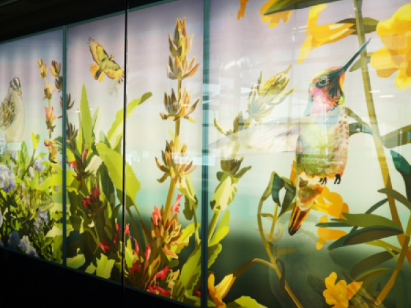 •	Frequent Flyers by Roan Victor