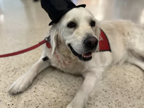 Layla with a top hat at SJC